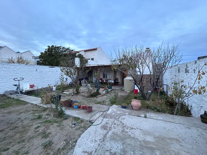 Parque amplio con plantas, visto hacia la casa